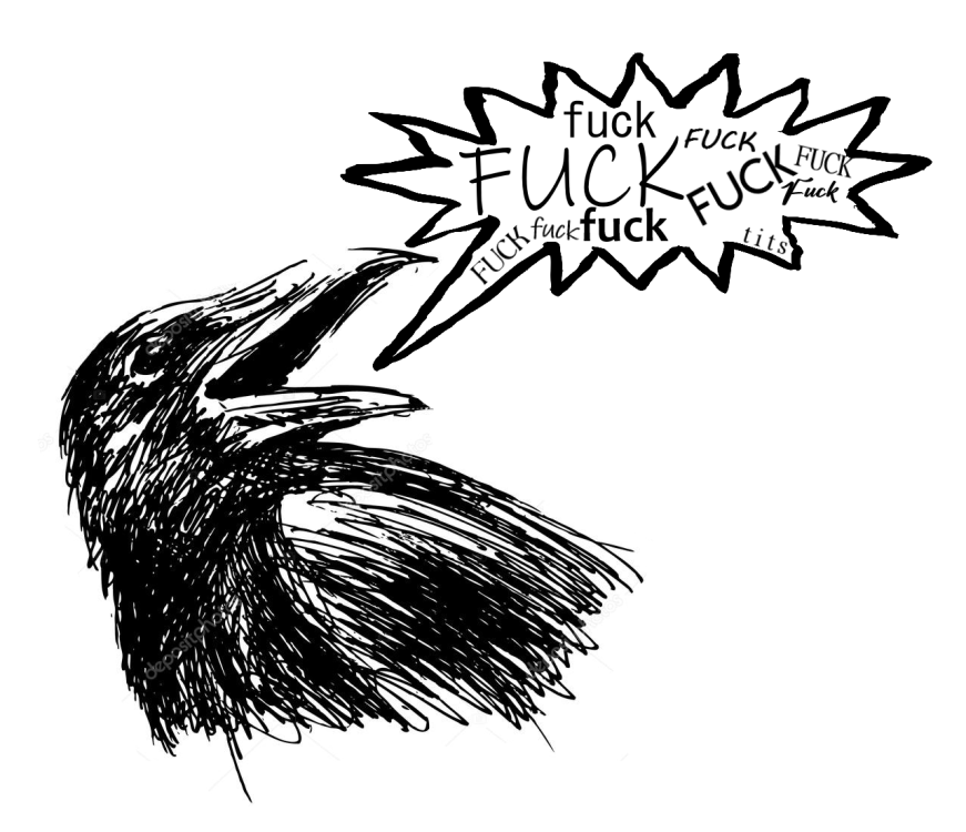 OzCrowDoodle.png